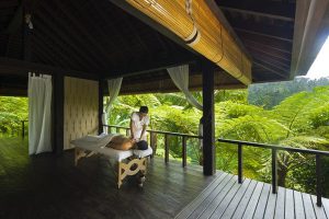 kedara-wellness-como-ubud