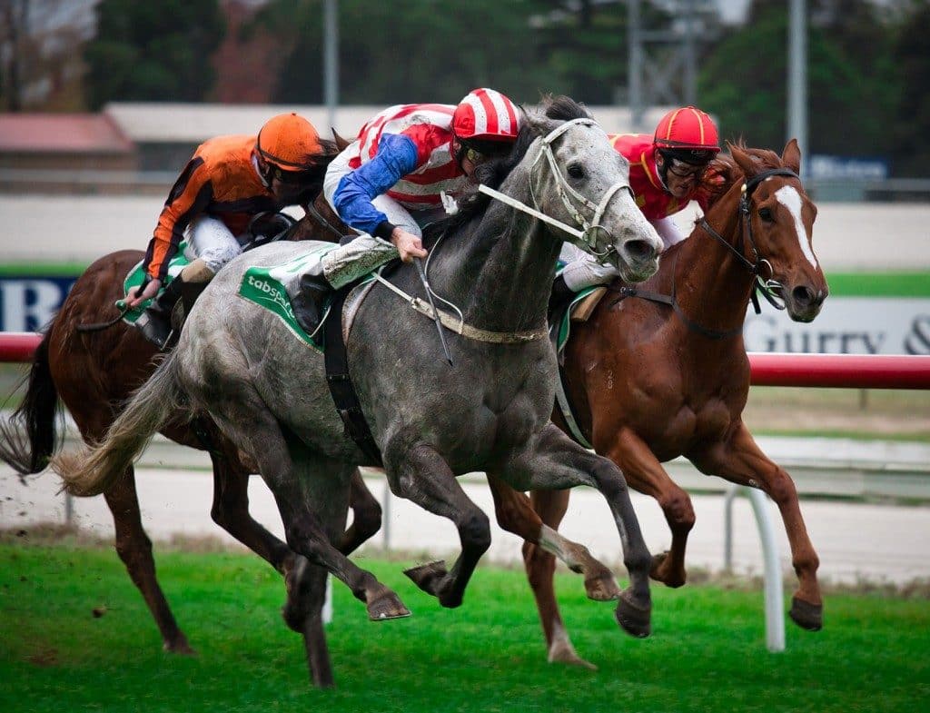 celebrate-melbourne-cup-2016