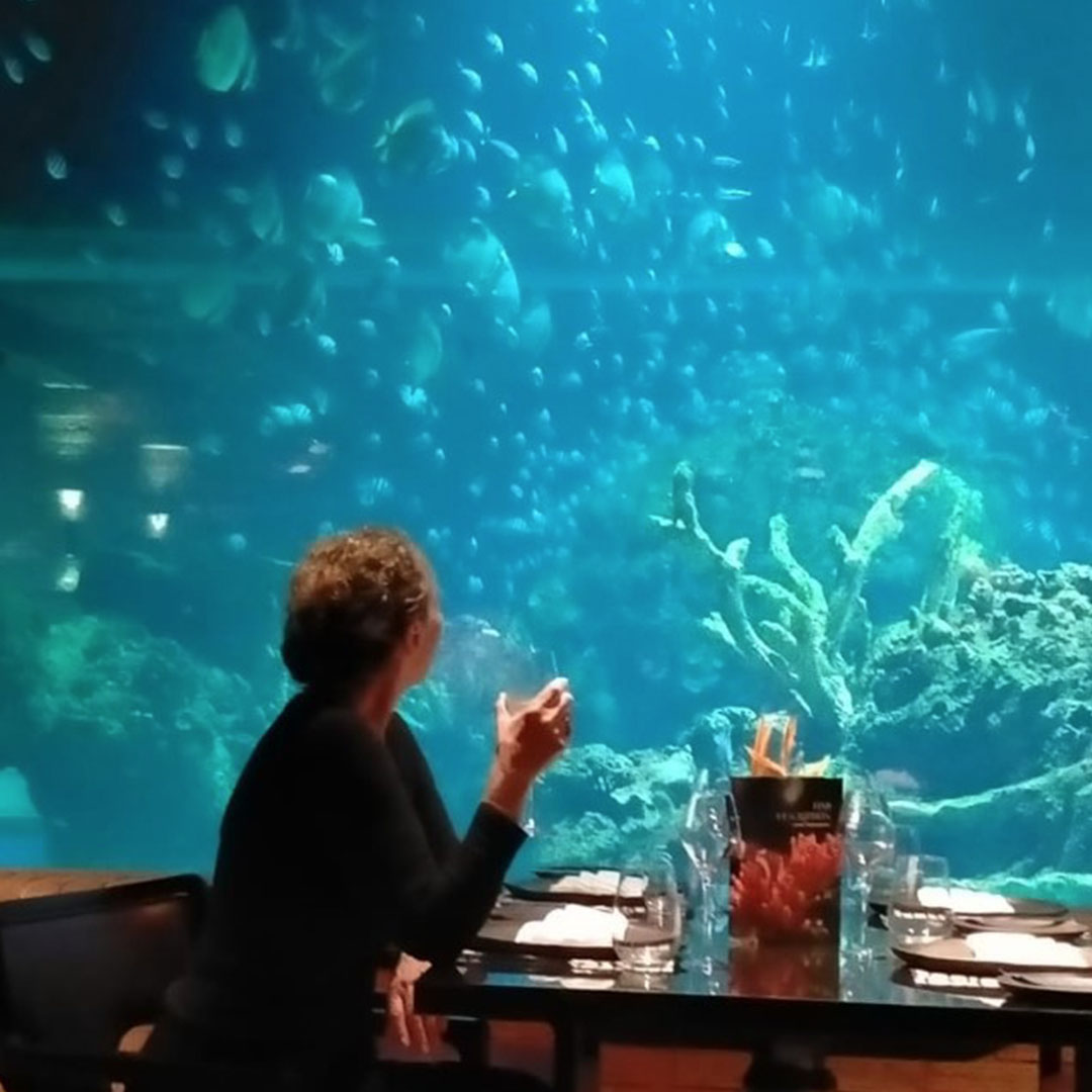 360 Bali - Apurva Kempinski - bali aquarium restaurant